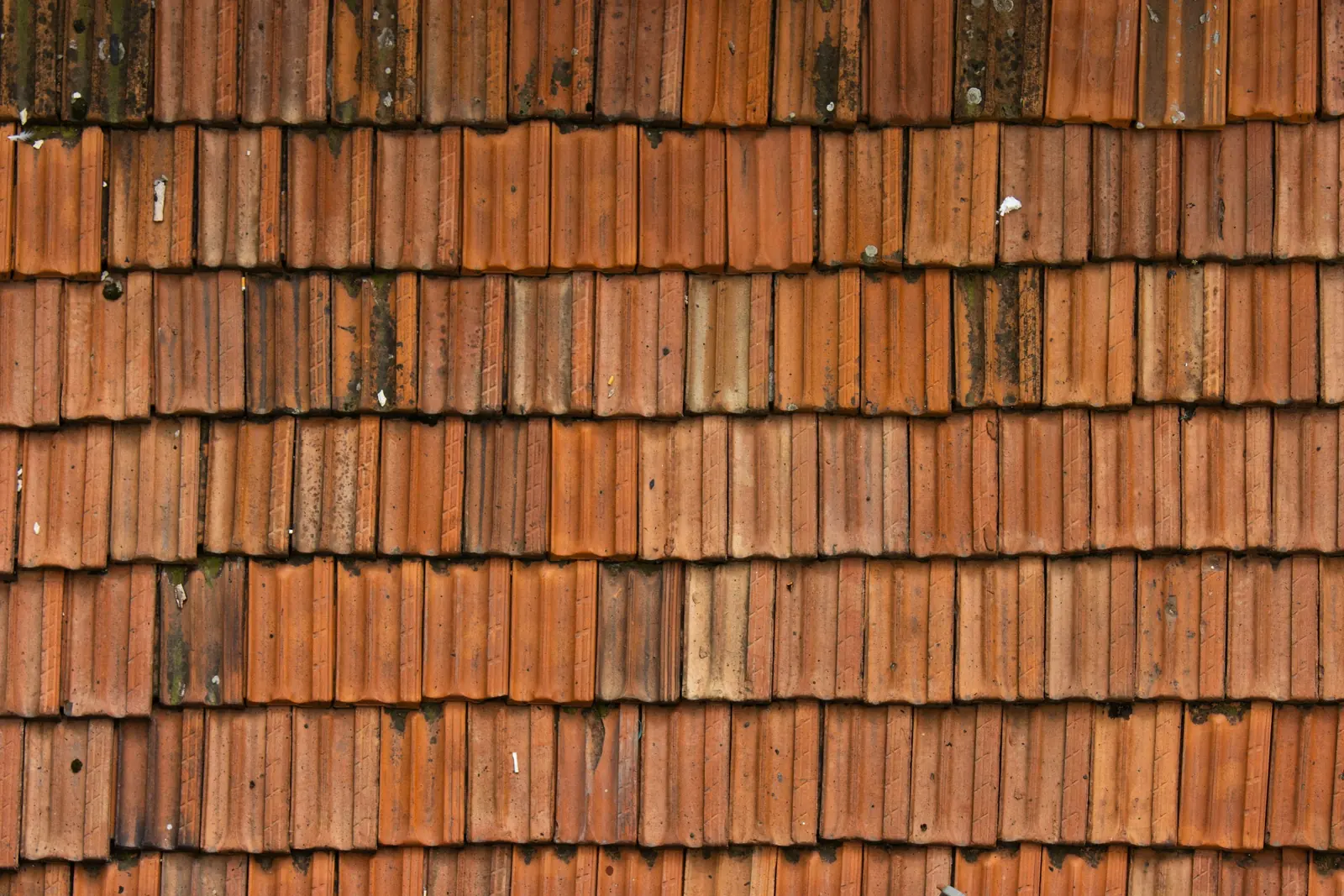 Toiture en petites tuiles plates anciennes